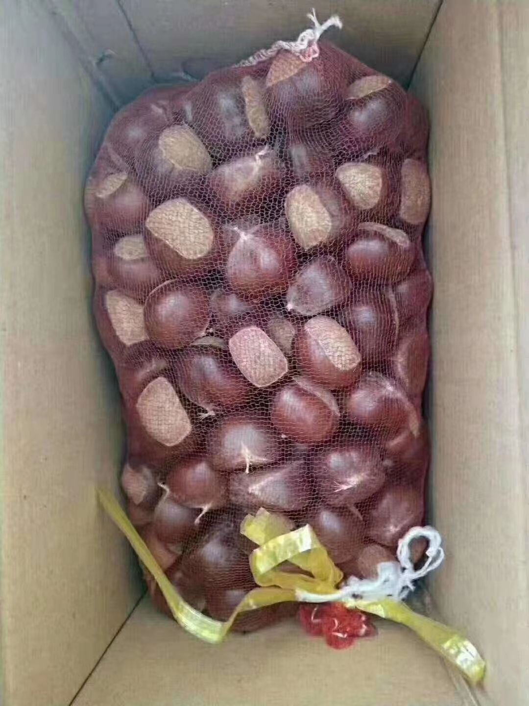 蒙山板栗  沂蒙山新鲜板栗，油板栗，饱满，粉糯香甜，一件代发