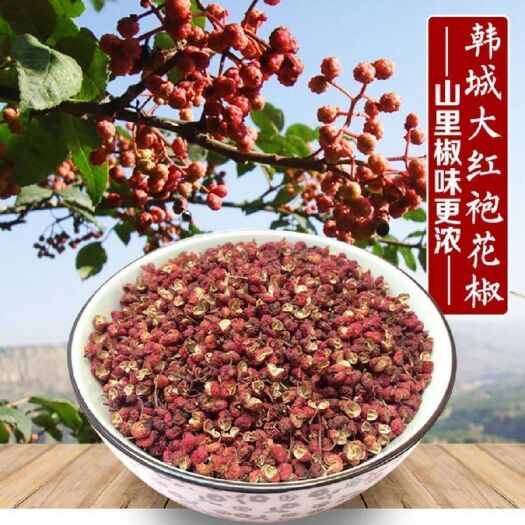 韩城市 大红袍花椒 2023产地陕西韩城干红花椒颗粒麻辣粉面食火锅