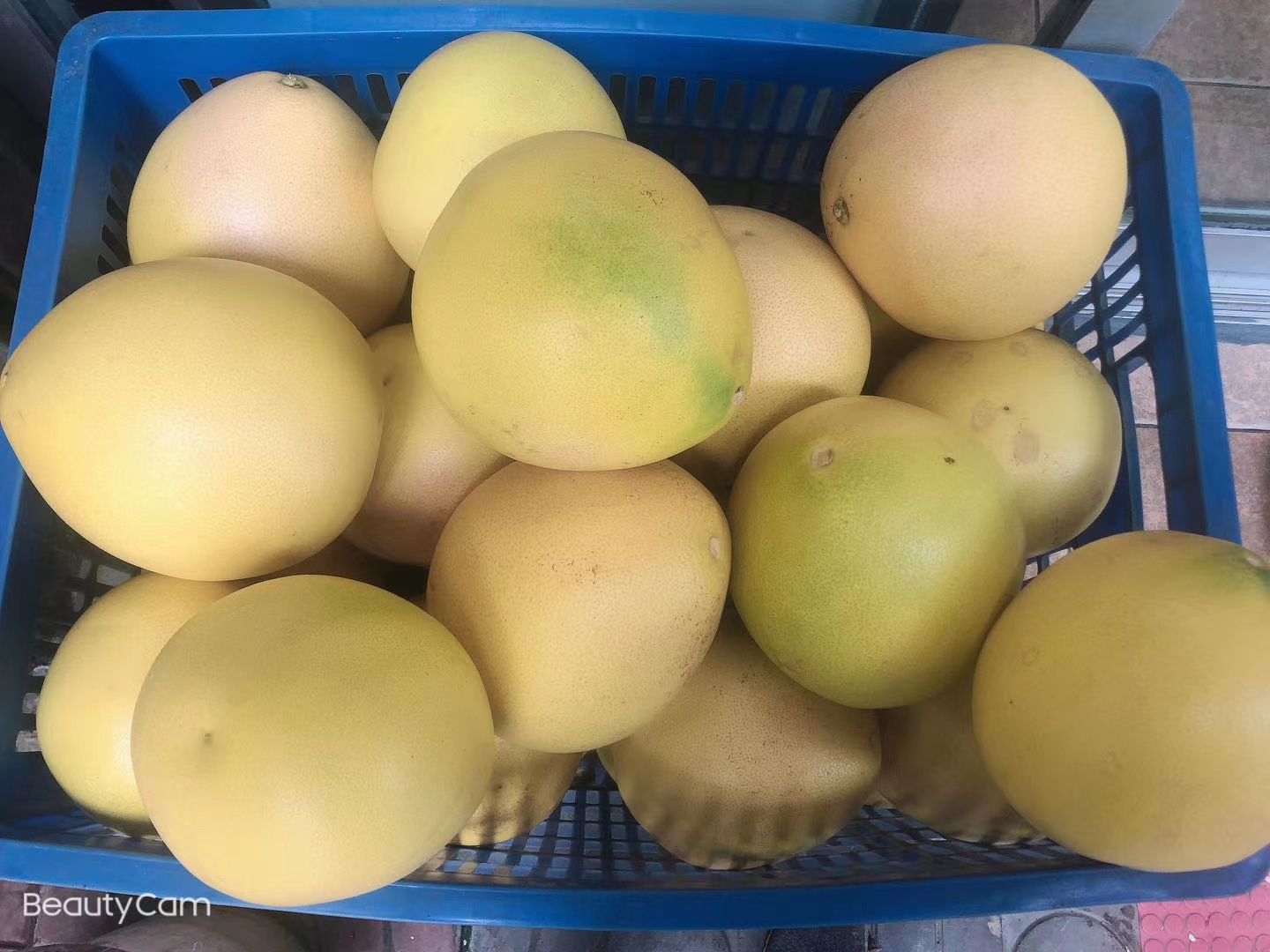 红心柚 
