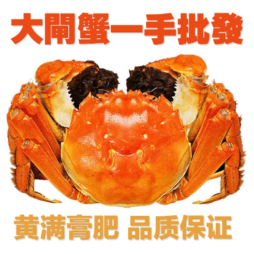 兴化市兴化大闸蟹  江苏兴化红膏大闸蟹 鲜活螃蟹 只只满黄 产地直达 一件代发