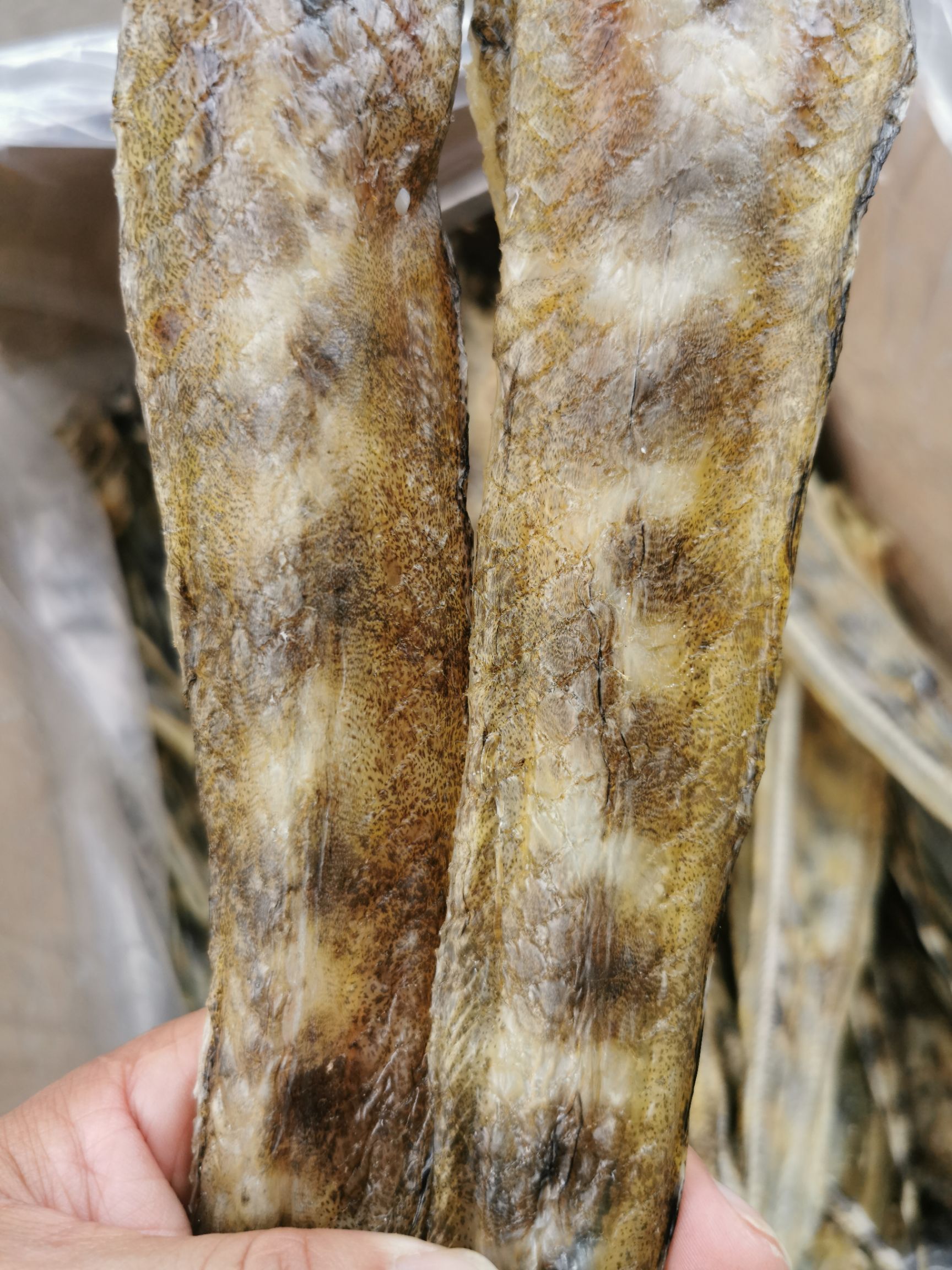 鳗鱼干鱼干淡晒鳗鱼干足干货一斤10几条