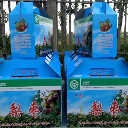 昌邑市昌邑富硒大梨枣，万亩种植基地，欢迎各地老板，批发商合作。