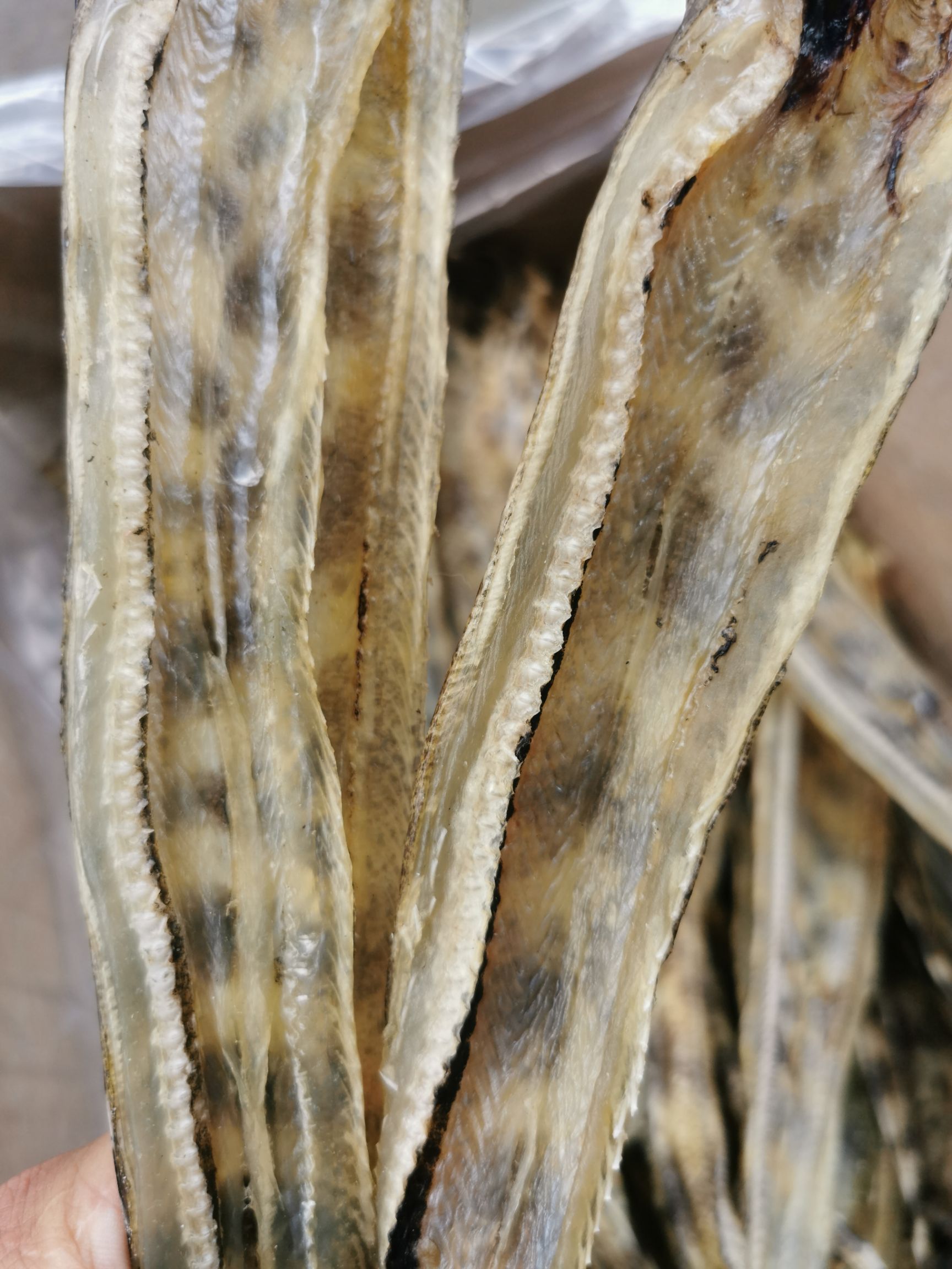 鳗鱼干鱼干淡晒鳗鱼干足干货一斤10几条