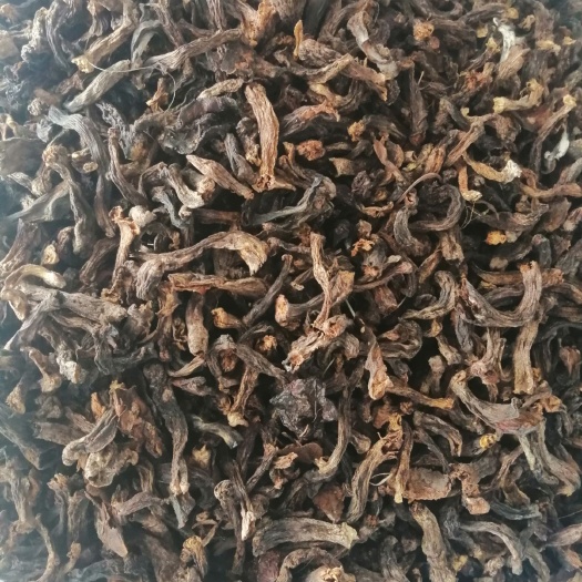 平泉市蘑菇 松菇角，手工挑选干净