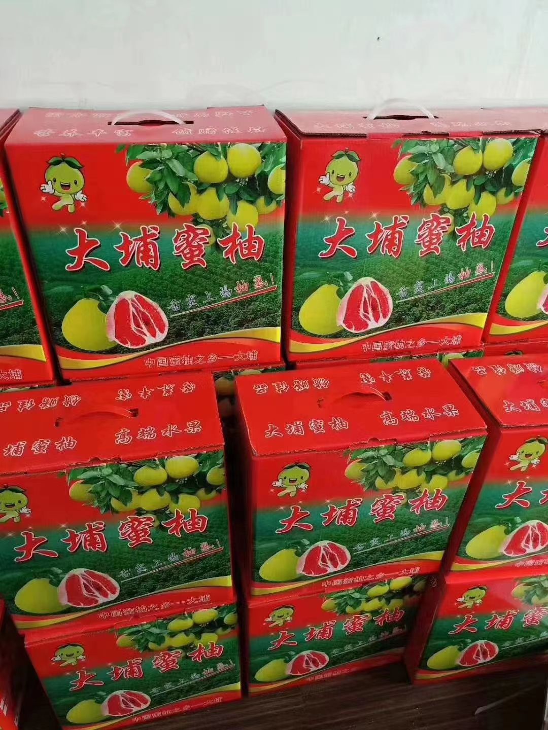 红心柚 