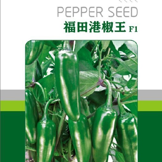 酒泉新一代辣椒种子 福田港椒王