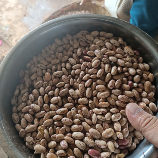 盘州市 又香又粉的农家自产花生豆