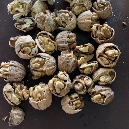 成都云南麻子核桃薄皮核桃 跑江湖地摊