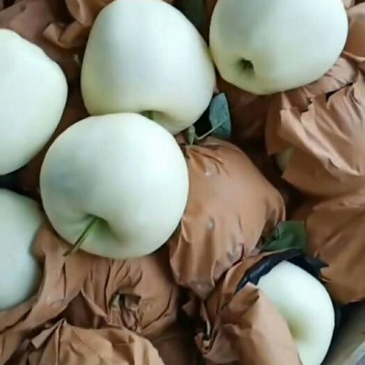 绥中县金帅苹果 80mm以上 统货 纸袋 