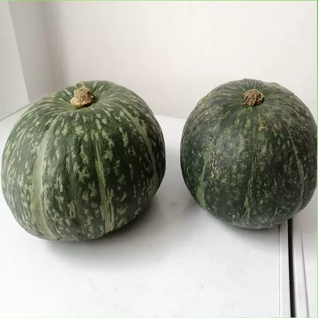 南瓜绿皮南瓜板栗南瓜艾比斯南瓜