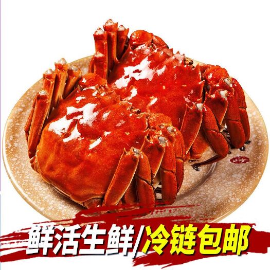1阳澄湖镇大闸蟹鲜活海鲜水产公母蟹大螃蟹包邮礼盒装