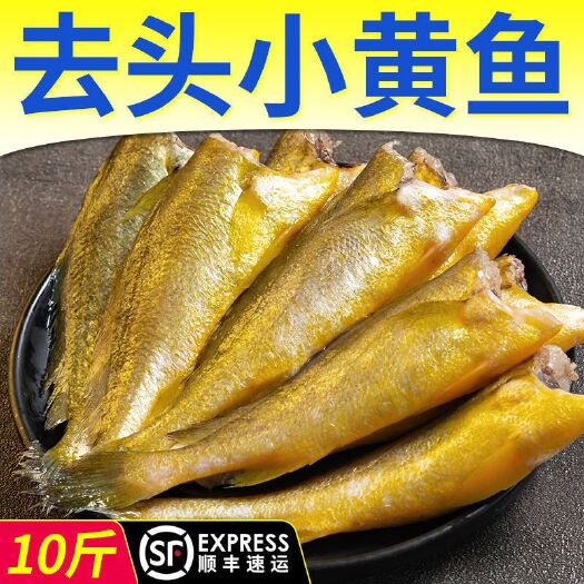 日照冷冻黄花鱼 去头小黄鱼海捕去头黄花鱼5斤10斤箱