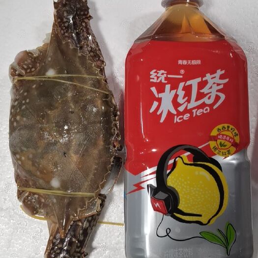 全椒县 冰鲜梭子蟹现货速冻肉质肥厚，产地直达