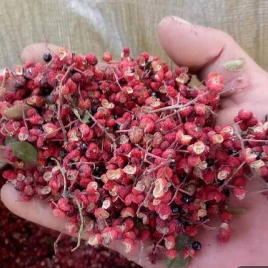 潼关县大红袍花椒 花椒产地颜色好货源充足一级干货
