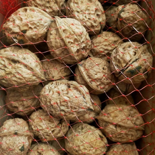 漾濞县漾濞核桃之乡核桃