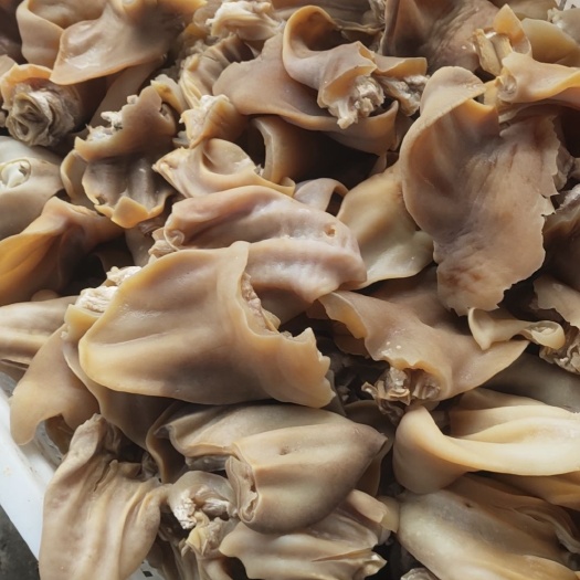 淮北牛耳朵片