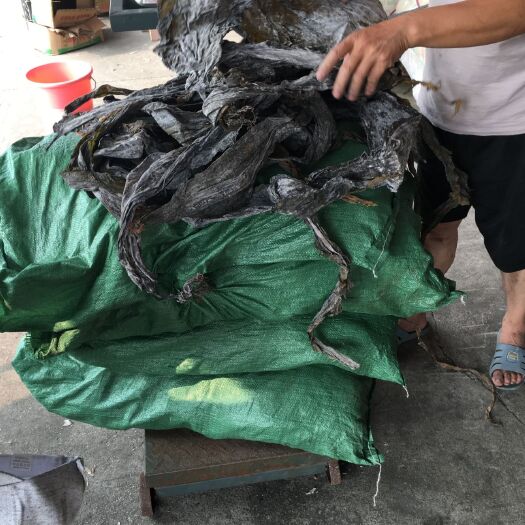 成都山东海带  2020一级海带片基地自产自销都是实物拍摄质量非常好
