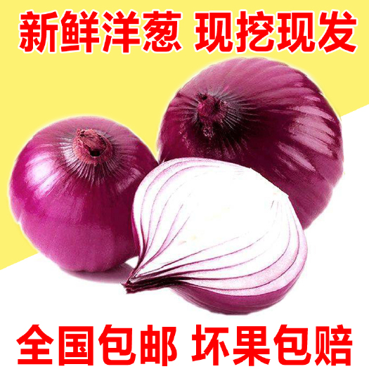 通许县二红洋葱  洋葱电商一件代发，主营各类农产品
