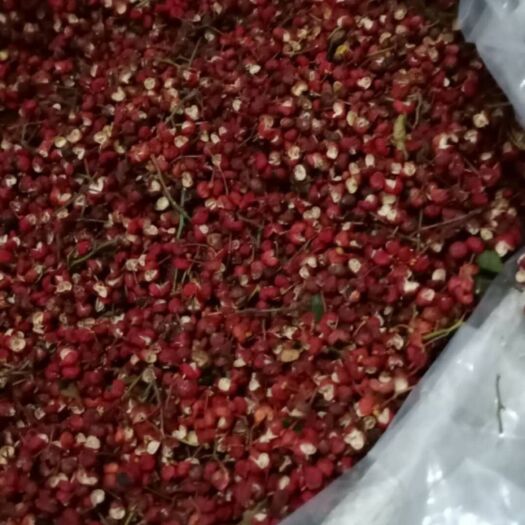 潼关县大红袍花椒  纯原货，不打油，不掺假