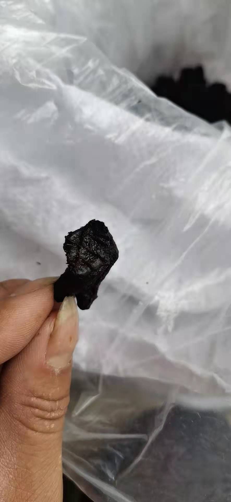 姜形黄精  九制黄精