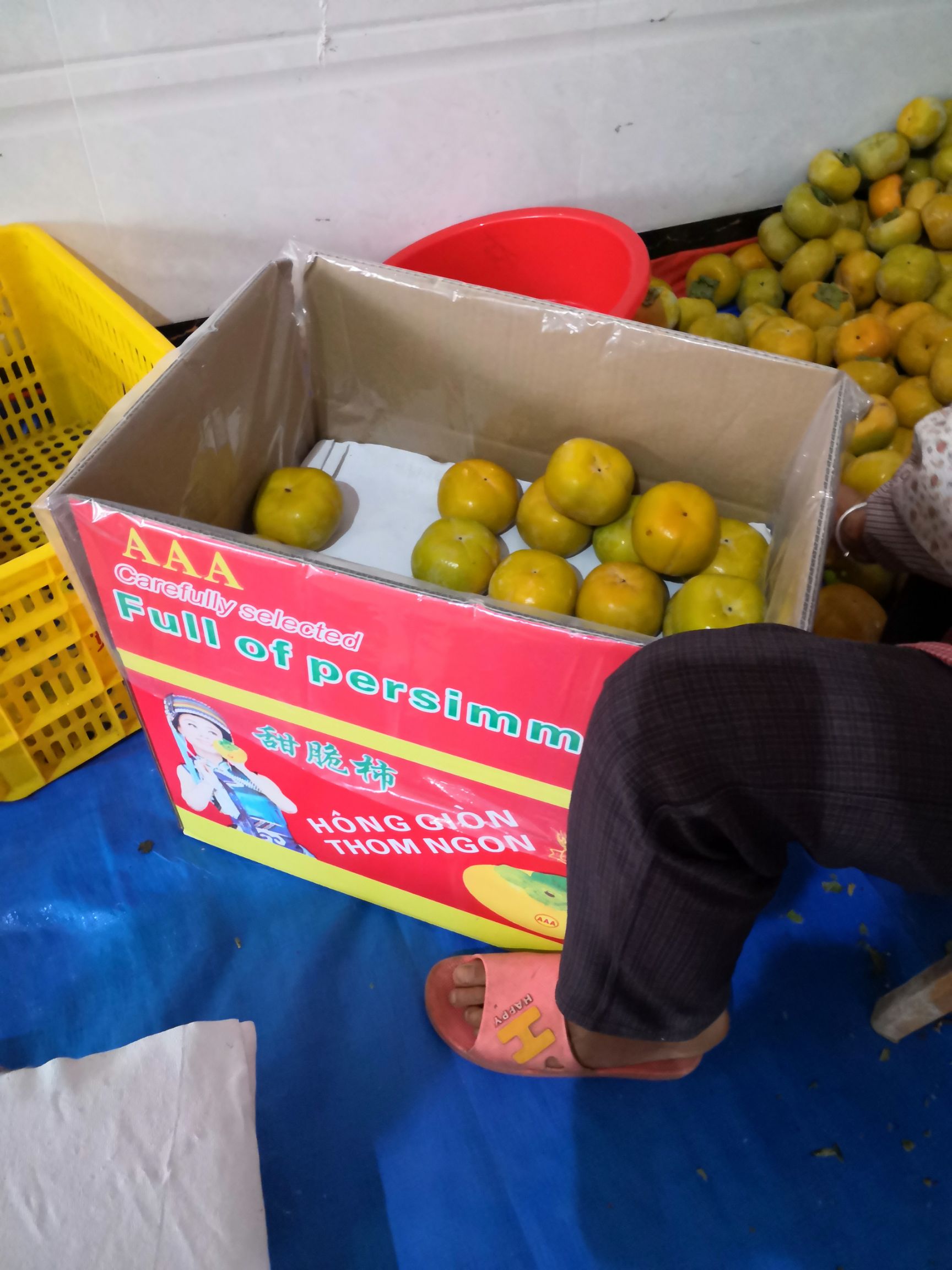 柿子  广西恭城红柿脆柿产地直供