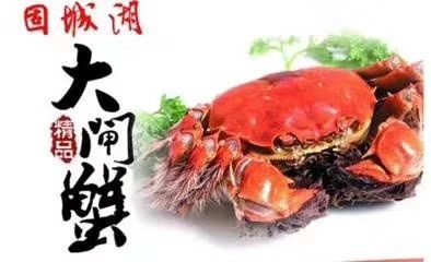 南京高淳固城湖大闸蟹