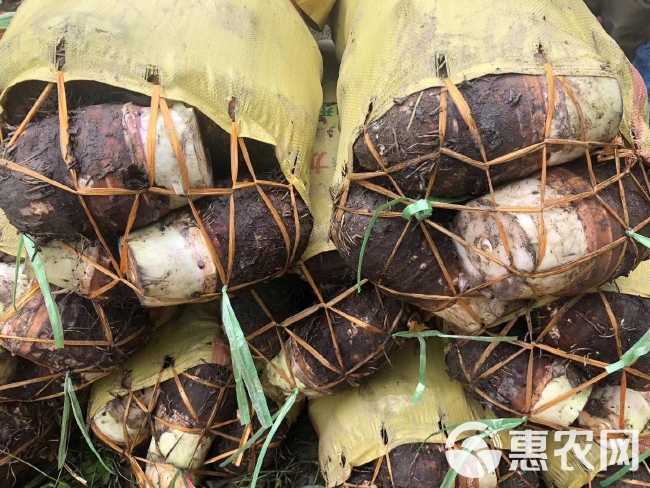 粉芋头 福建芋头，价格便宜，专接超市，电商！