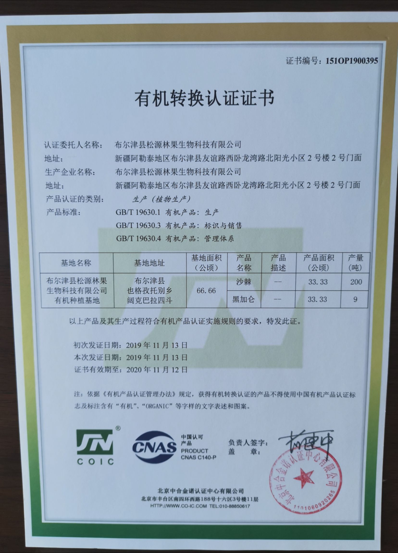 新疆原产地直发，新疆阿勒泰松源林果沙棘基地沙棘