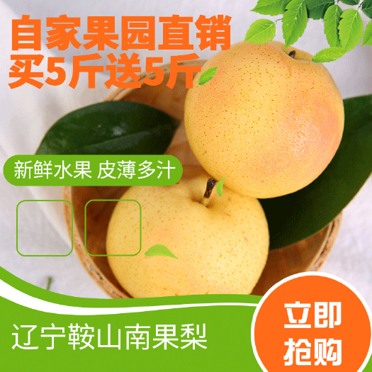 海城市鞍山南果梨特产精品水果口感细腻酒香浓郁零售包邮