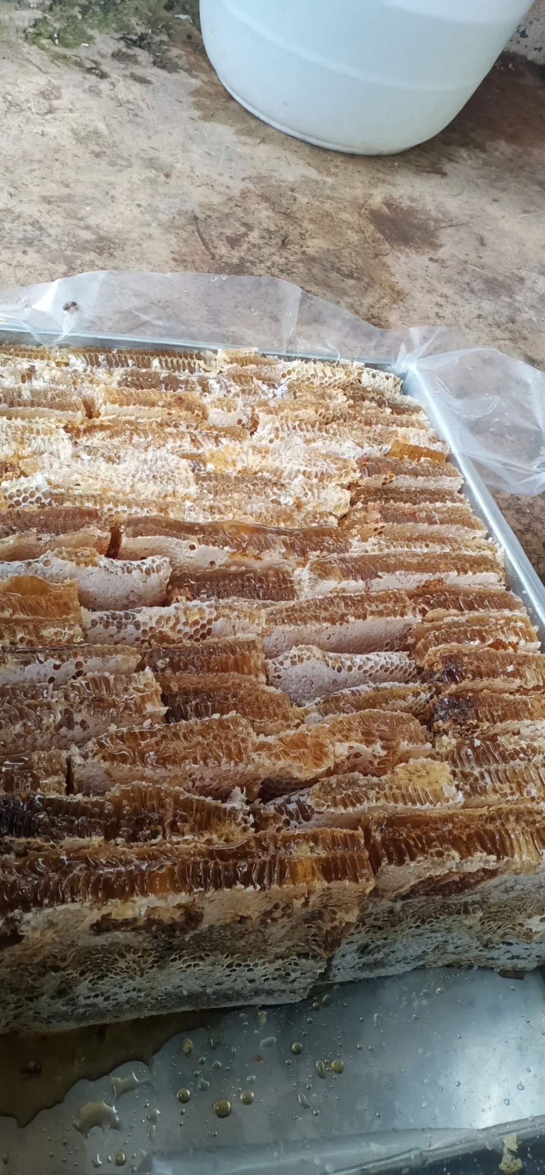 哪个产地的蜂蜜比较好(哪里的蜂蜜)