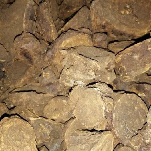 平武县帮我们村的人出售大黄干，大概有十几吨，高山大黄