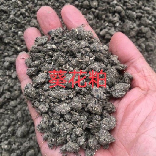 石家庄玉米漏 