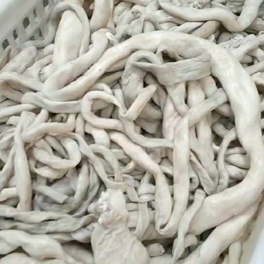 大厂县熟羊肠 半成品 羊汤馆
