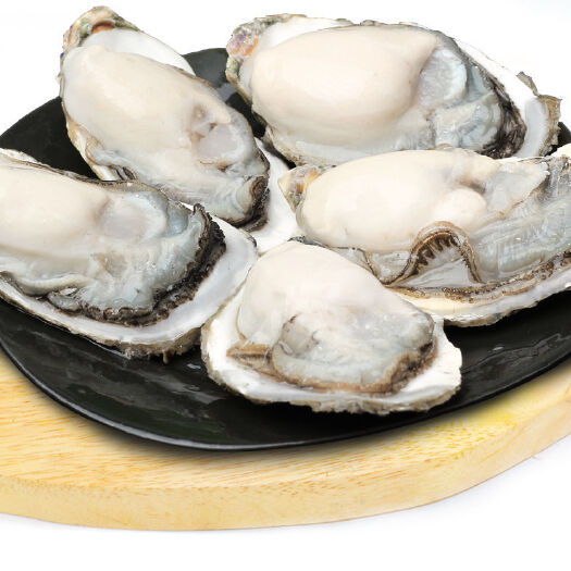 诏安县漳州生蚝 海水 1-2两/只 2-3两/只 鲜活水产 