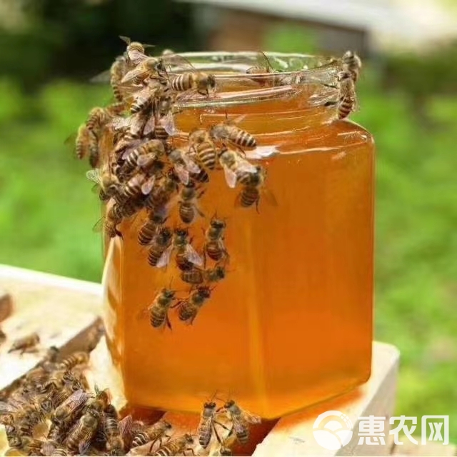 百花蜜  百花蜂蜜蜂农自产质量纯批发零招代支持电微商一件代发