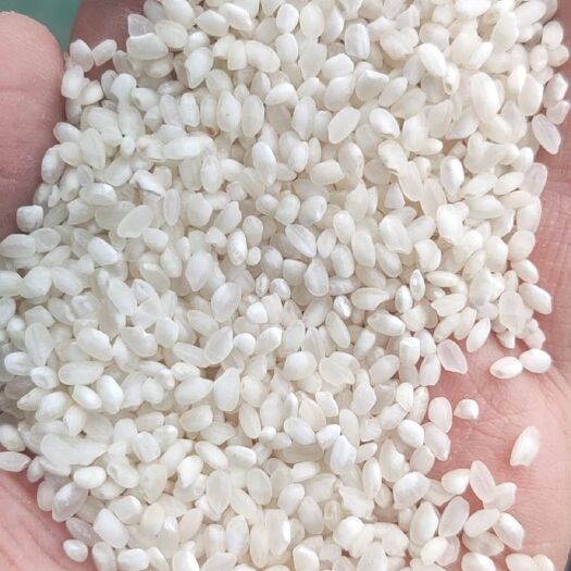 哈尔滨长粒香  食堂用米，东北大米
