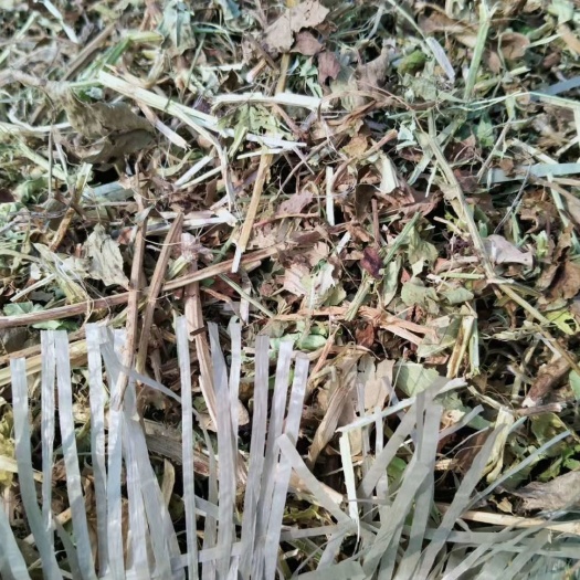 淅川县干草  花生秧青绿一级