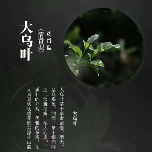 潮州单丛茶  大乌叶