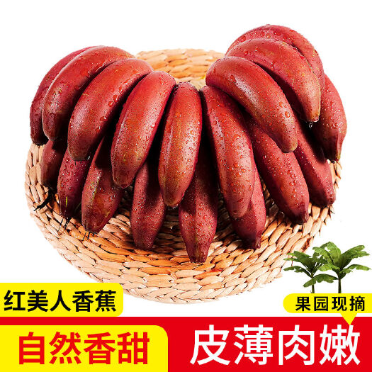 华安县红蕉  【香甜软糯】红皮美人香蕉新鲜水果5斤装红香蕉1/3斤