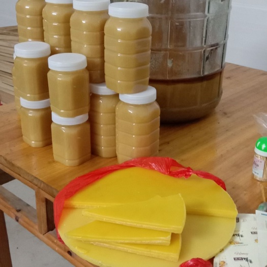 陆川县鸭脚木蜜 谢仙嶂天然土蜂蜜