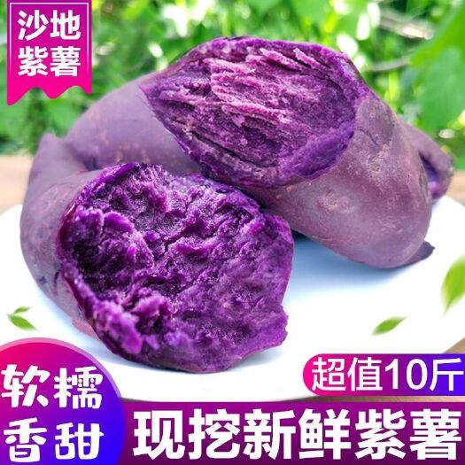 【香甜粉糯】沙地紫薯新鲜番薯红薯地瓜蜜薯蔬菜5斤10斤装