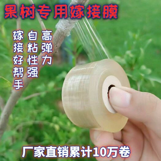 大荔县 果树嫁接膜缠绕膜嫁接专业薄膜自粘嫁接膜伸拉膜