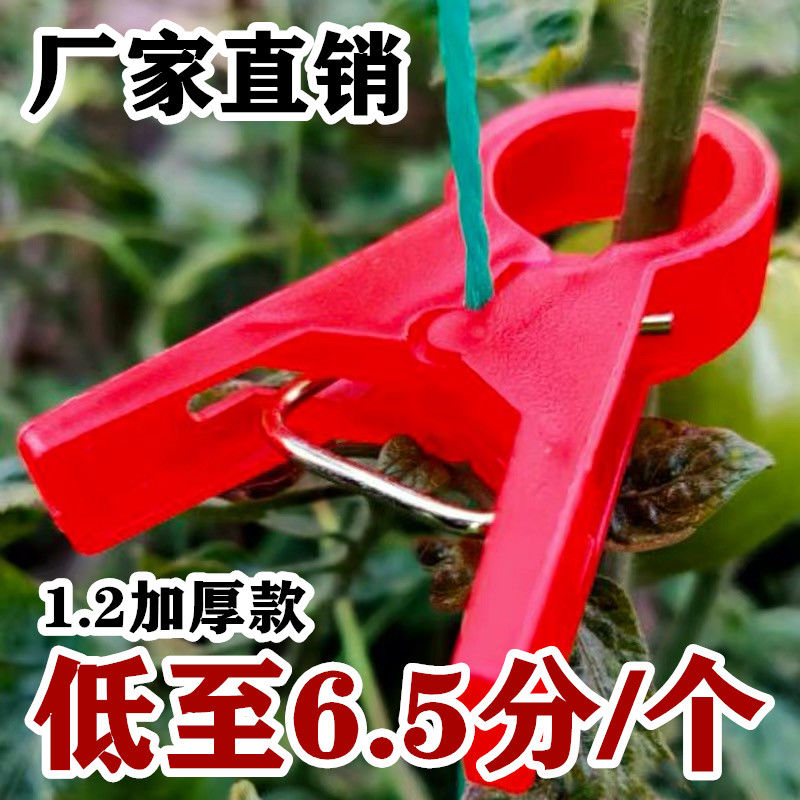 绑蔓夹扶蔓夹大棚吊秧夹西红柿黄瓜豆角南瓜西瓜番茄夹子
