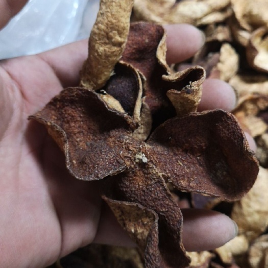 佛山三花陈皮 广西旧皮