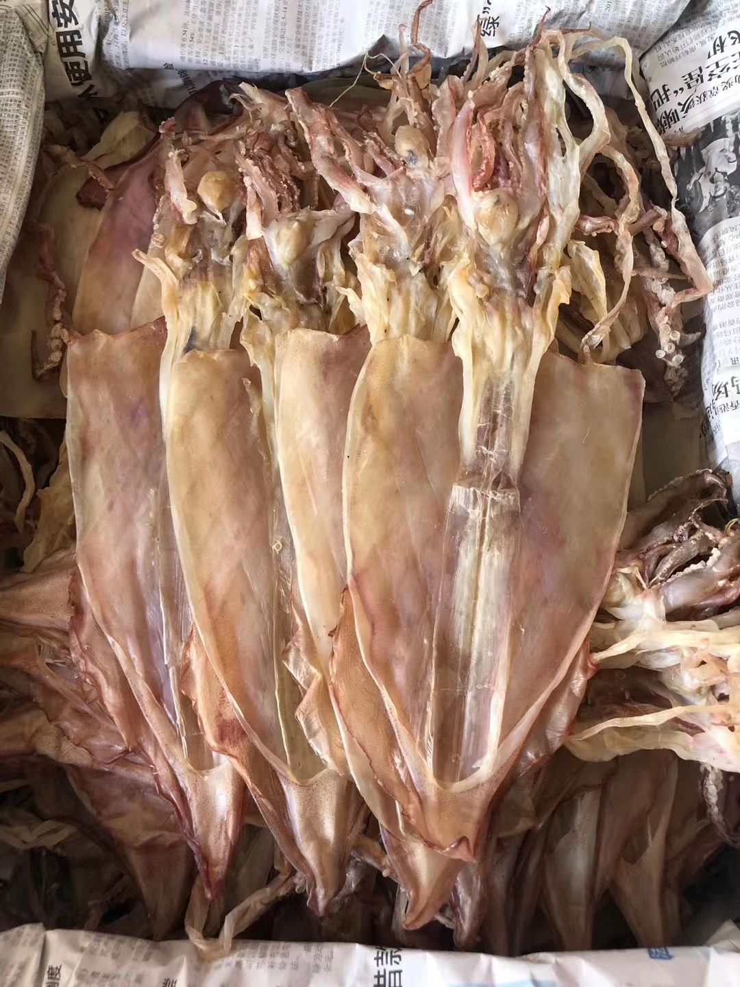鱿鱼干  新鲜晒干鱿鱼