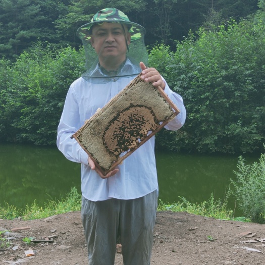 东宁市土蜂蜜  深山里的纯蜂蜜