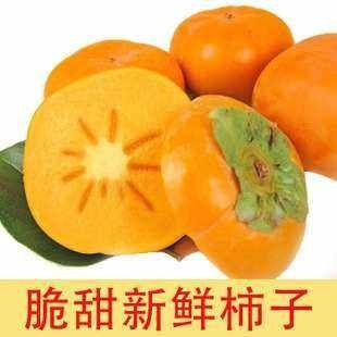 甜脆柿属于落叶乔木植物。果实扁圆，可制成柿饼、柿角、柿汁、
