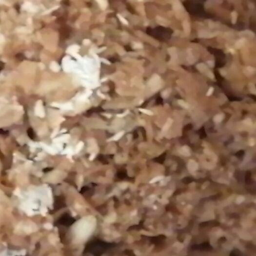 仪征市蛋白质饲料 黑水牤卵  蛆虫蛹种