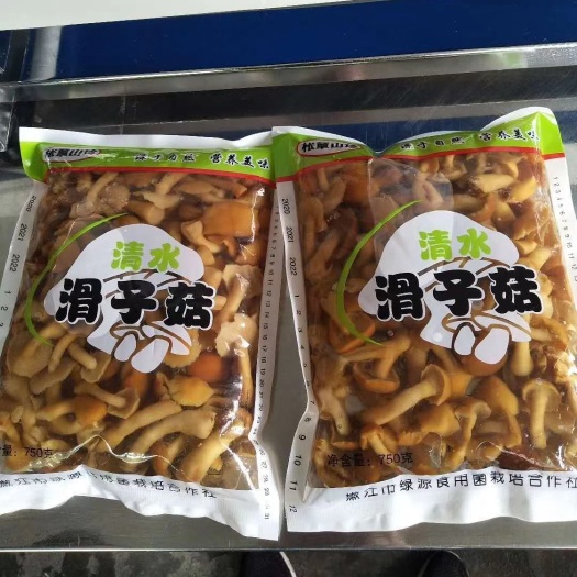 甘南县滑子菇