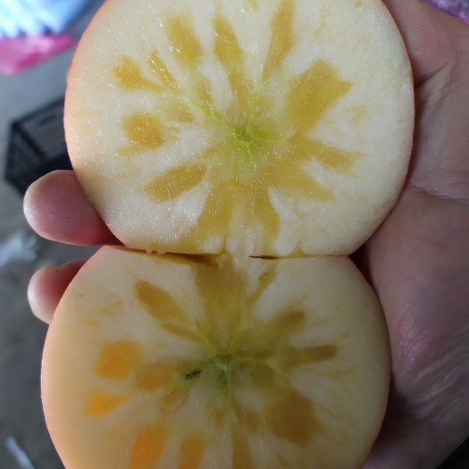 红富士苹果  冰糖心红富士含糖量最高达18个，理想中的货源地，支持一件代发
